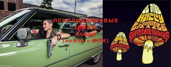 хмурый Алексеевка